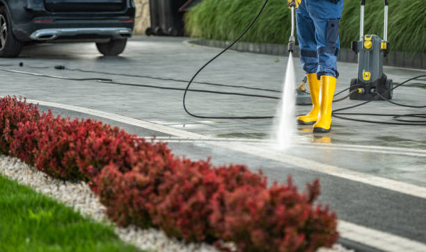 Best Post-Construction Pressure Washing  in Chesaning, MI